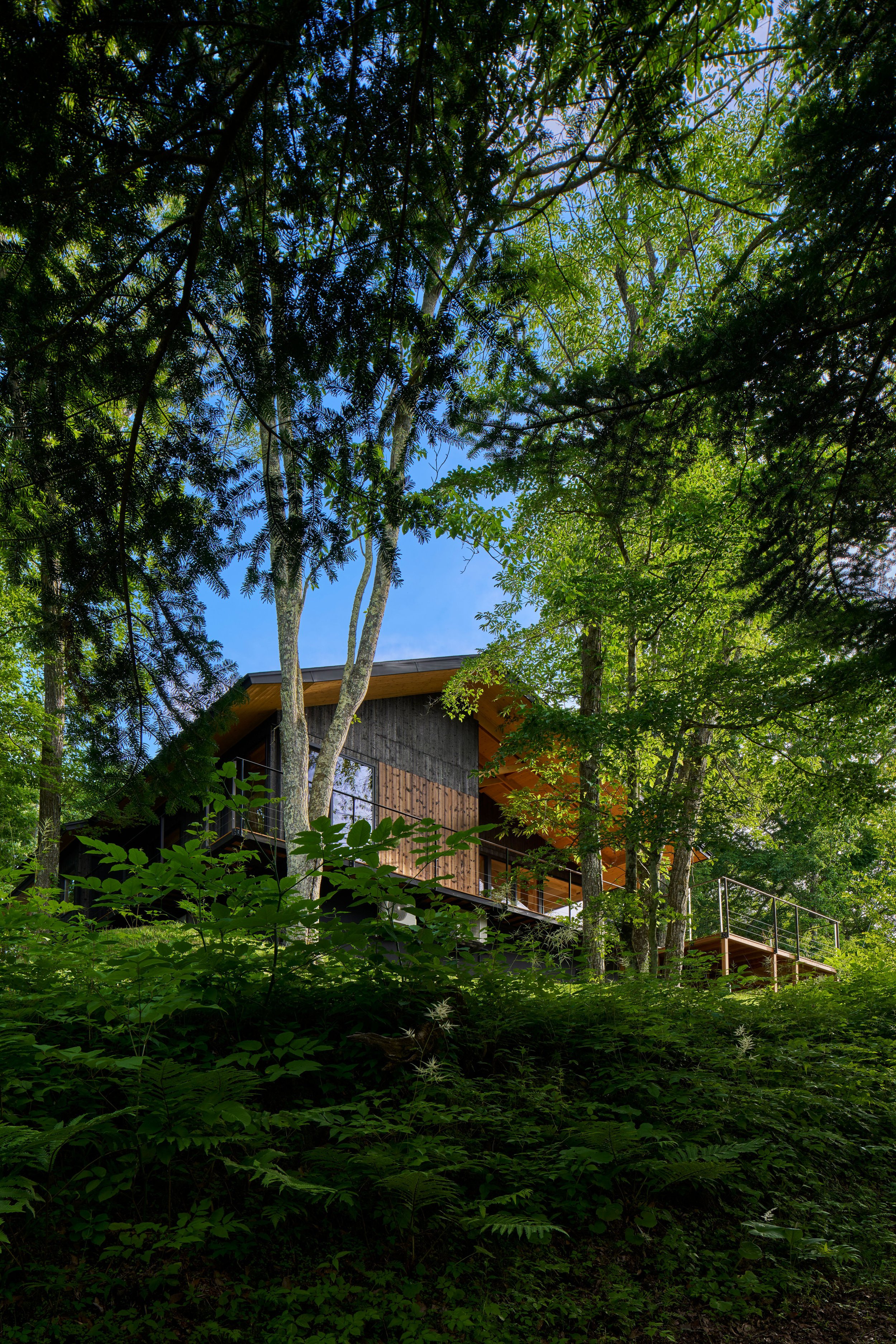 Karuizawa Villa Residence 2｜軽井沢別荘 2｜JAPAN — Atelier MORF